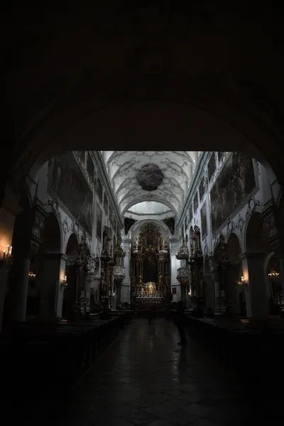 DSC_6342 (Large).JPG